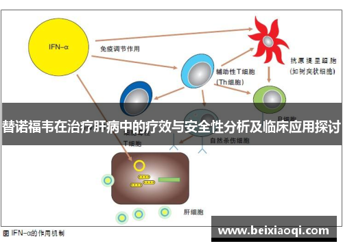 替诺福韦在治疗肝病中的疗效与安全性分析及临床应用探讨
