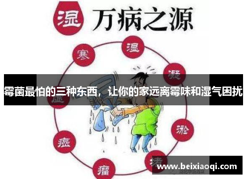 霉菌最怕的三种东西，让你的家远离霉味和湿气困扰