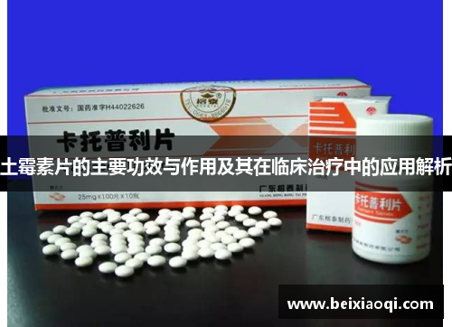 土霉素片的主要功效与作用及其在临床治疗中的应用解析