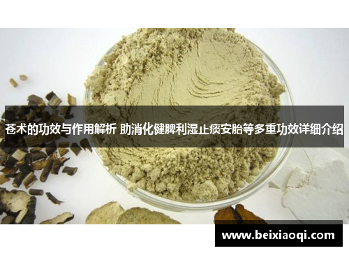 苍术的功效与作用解析 助消化健脾利湿止痰安胎等多重功效详细介绍