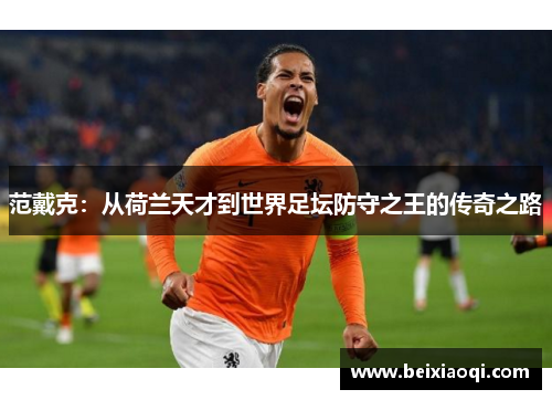范戴克：从荷兰天才到世界足坛防守之王的传奇之路