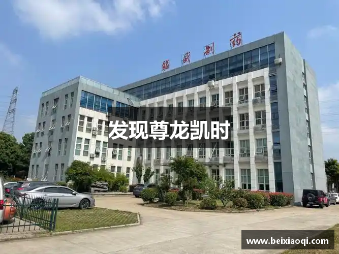 发现尊龙凯时